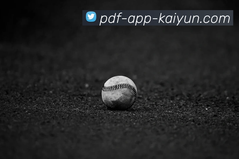 开云appAPP 封面图